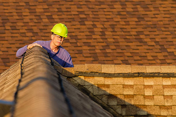 Roof Gutter Cleaning in Belleview, FL