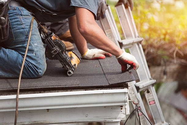 Best Storm Damage Roof Repair  in Belleview, FL